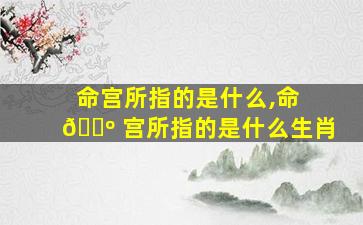 命宫所指的是什么,命 🌺 宫所指的是什么生肖